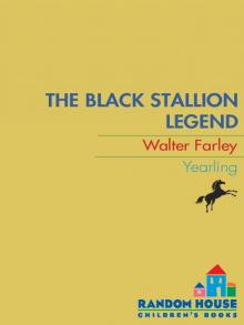 The Black Stallion Legend The Black Stallion Legend