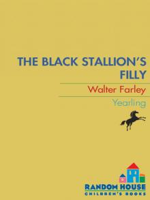 The Black Stallion's Filly The Black Stallion's Filly