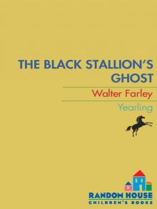 The Black Stallion's Ghost The Black Stallion's Ghost