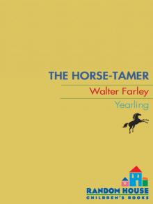 The Horse Tamer The Horse Tamer