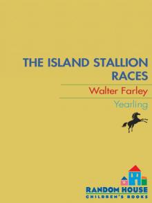 The Island Stallion Races The Island Stallion Races