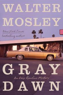 Gray Dawn Gray Dawn