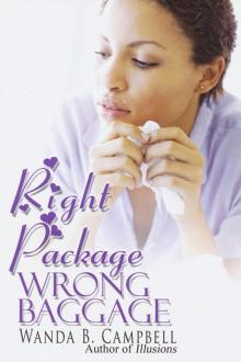 Right Package, Wrong Baggage Right Package, Wrong Baggage