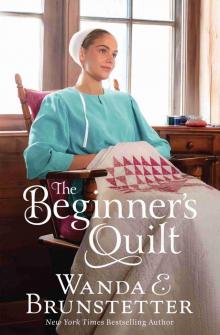 The Beginner's Quilt The Beginner's Quilt