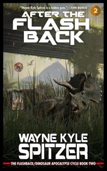 After the Flashback After the Flashback