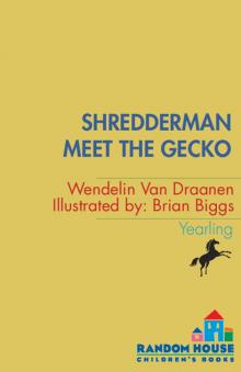 Meet the Gecko Meet the Gecko