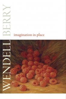 Imagination in Place Imagination in Place