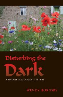 Disturbing the Dark Disturbing the Dark