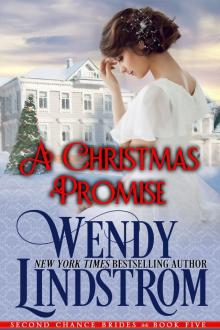 A Christmas Promise