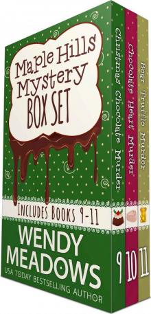 Maple Hills Mystery Box Set 3