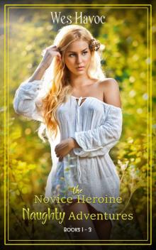 The Novice Heroine Naughty Adventures Bundle