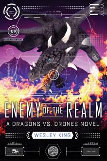 Enemy of the Realm Enemy of the Realm