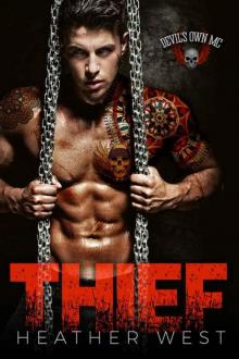 Thief: Devil's Own MC
