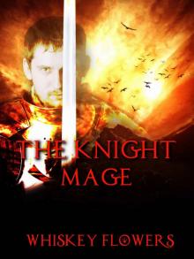 The Knight Mage The Knight Mage
