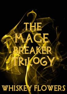 The Mage Breaker The Mage Breaker