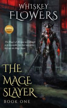 The Mage Slayer The Mage Slayer