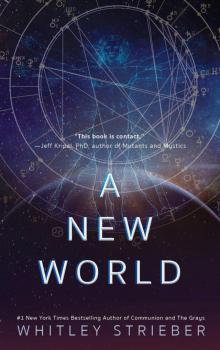A New World A New World