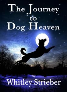 The Journey to Dog Heaven The Journey to Dog Heaven