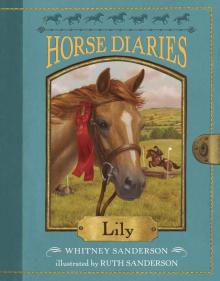 Horse Diaries 15