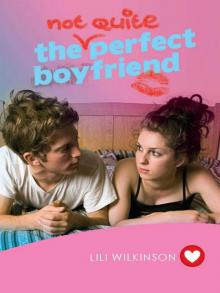 Not Quite Perfect Boyfriend Not Quite Perfect Boyfriend