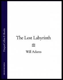 The Lost Labyrinth