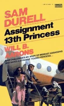 Assignment_13th Princess