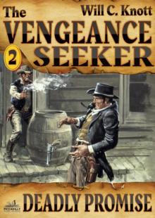 The Vengeance Seeker 2 The Vengeance Seeker 2