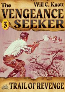 The Vengeance Seeker 3 The Vengeance Seeker 3