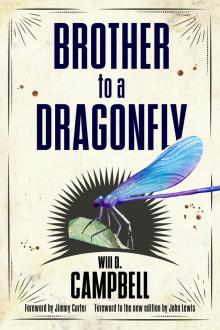 Brother to a Dragonfly Brother to a Dragonfly