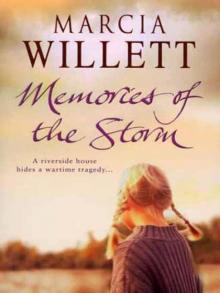 Memories Of The Storm Memories Of The Storm