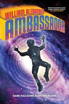 Ambassador Ambassador