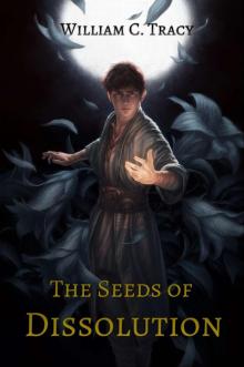 The Seeds of Dissolution_Dissolution Cycle The Seeds of Dissolution_Dissolution Cycle