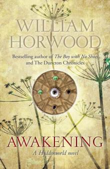 Awakening (Hyddenworld Quartet 2)