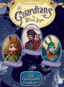 The Guardians The Guardians