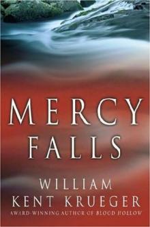 Mercy Falls co-5
