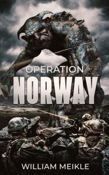 Operation Norway (S-Squad Book 7) Operation Norway (S-Squad Book 7)
