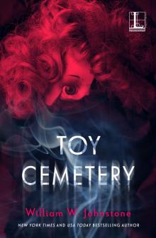 Toy Cemetery Toy Cemetery
