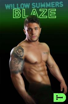 Blaze (Big D Escort Service Book 2)