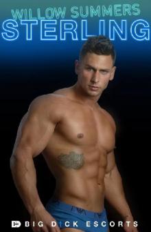 Sterling: Big D!ck Escort Service Sterling: Big D!ck Escort Service
