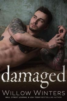 Damaged: Sins and Secrets Series of Duets