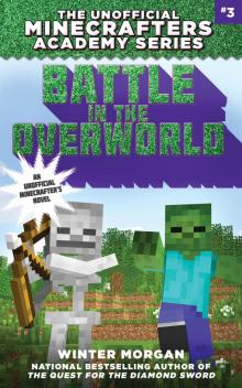 Battle in the Overworld Battle in the Overworld