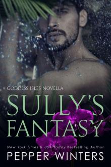 Sully's Fantasy (Goddess Isles, #6) Sully's Fantasy (Goddess Isles, #6)