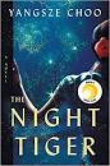 The Night Tiger The Night Tiger