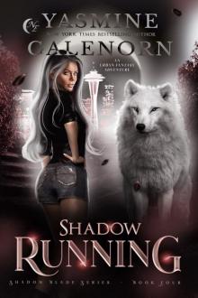 Shadow Running Shadow Running