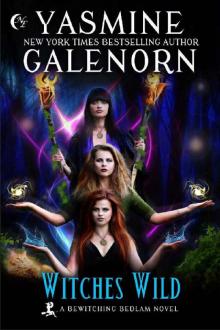 Witches Wild (Bewitching Bedlam Book 4)