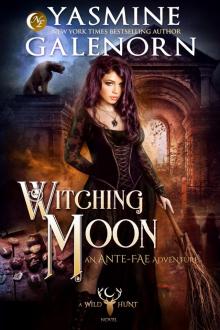 Witching Moon: A Wild Hunt Novel, Book 12