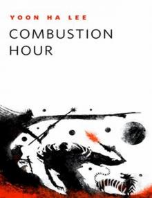 Combustion Hour Combustion Hour