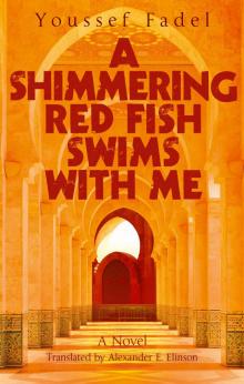 A Shimmering Red Fish A Shimmering Red Fish