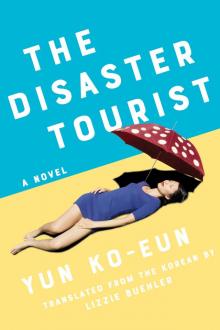 The Disaster Tourist The Disaster Tourist