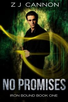 No Promises No Promises